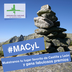 Cartel concurso #MACyL